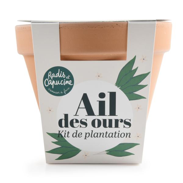 Radis et Capucine - Kit Ail des Ours - Pot en Terre Cuite Antique - 13 cm - face recto